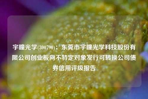 宇瞳光學(xué)(300790)：東莞市宇瞳光學(xué)科技股份有限公司創(chuàng)業(yè)板向不特定對(duì)象發(fā)行可轉(zhuǎn)換公司債券信用評(píng)級(jí)報(bào)告